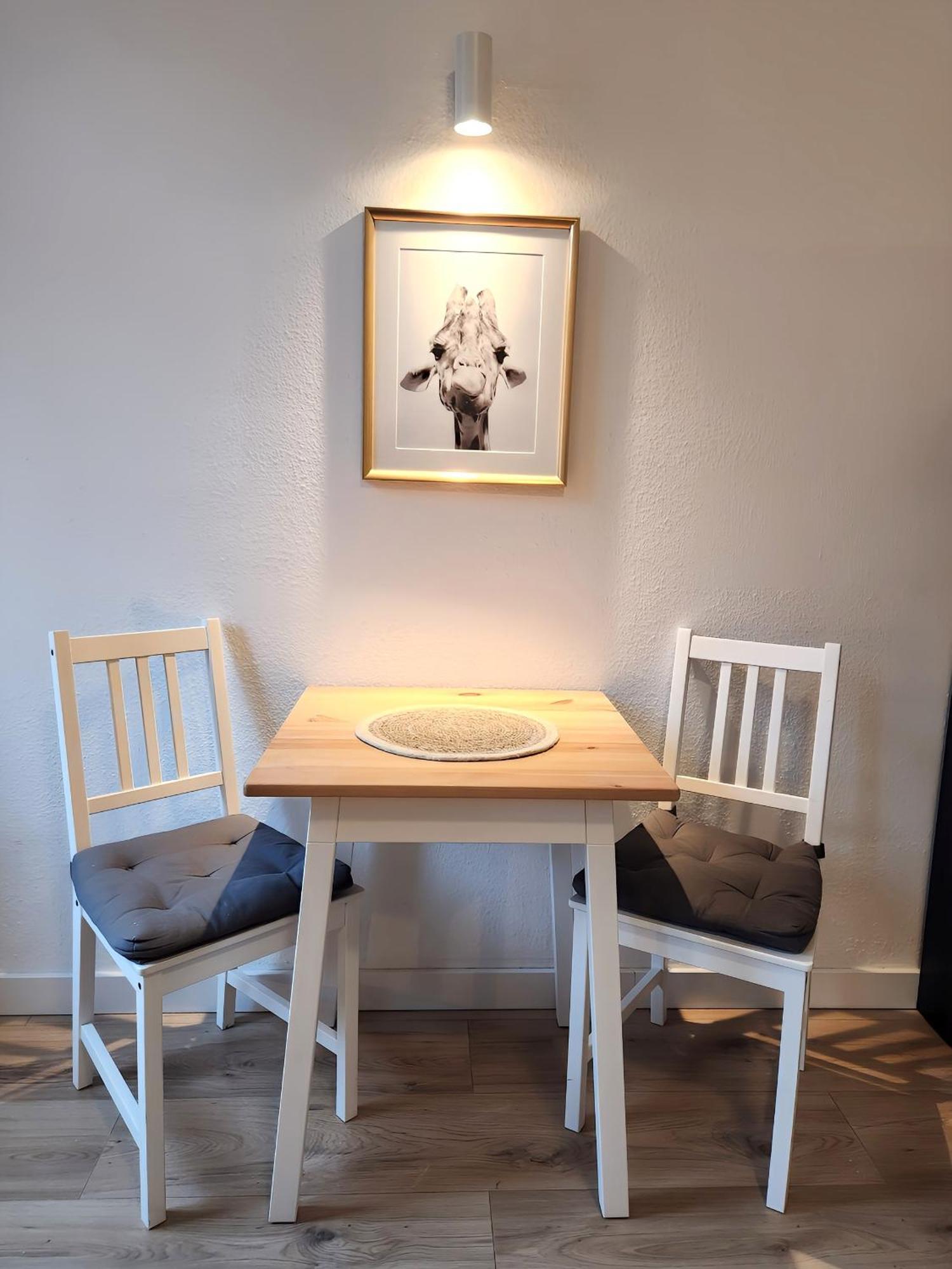 Ferienwohnung Malter 德累斯顿 外观 照片